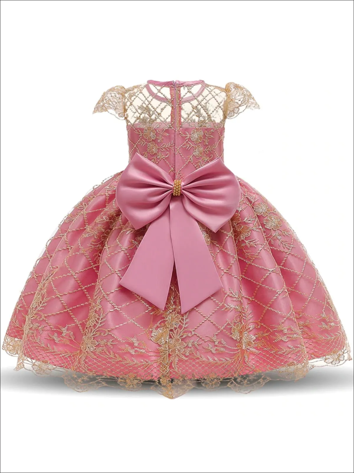 Girls Lace Embroidery Special Occasion Dress