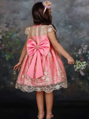 Girls Lace Embroidery Special Occasion Dress