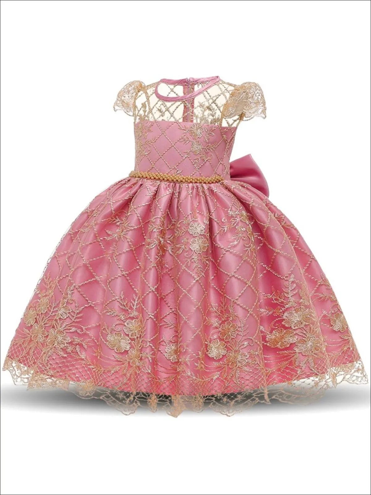 Girls Lace Embroidery Special Occasion Dress