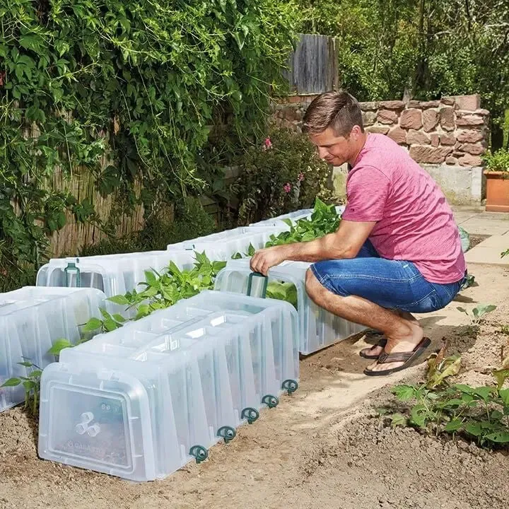 Maze Sunny Growing Tunnel With End Caps & 10 X Pegs