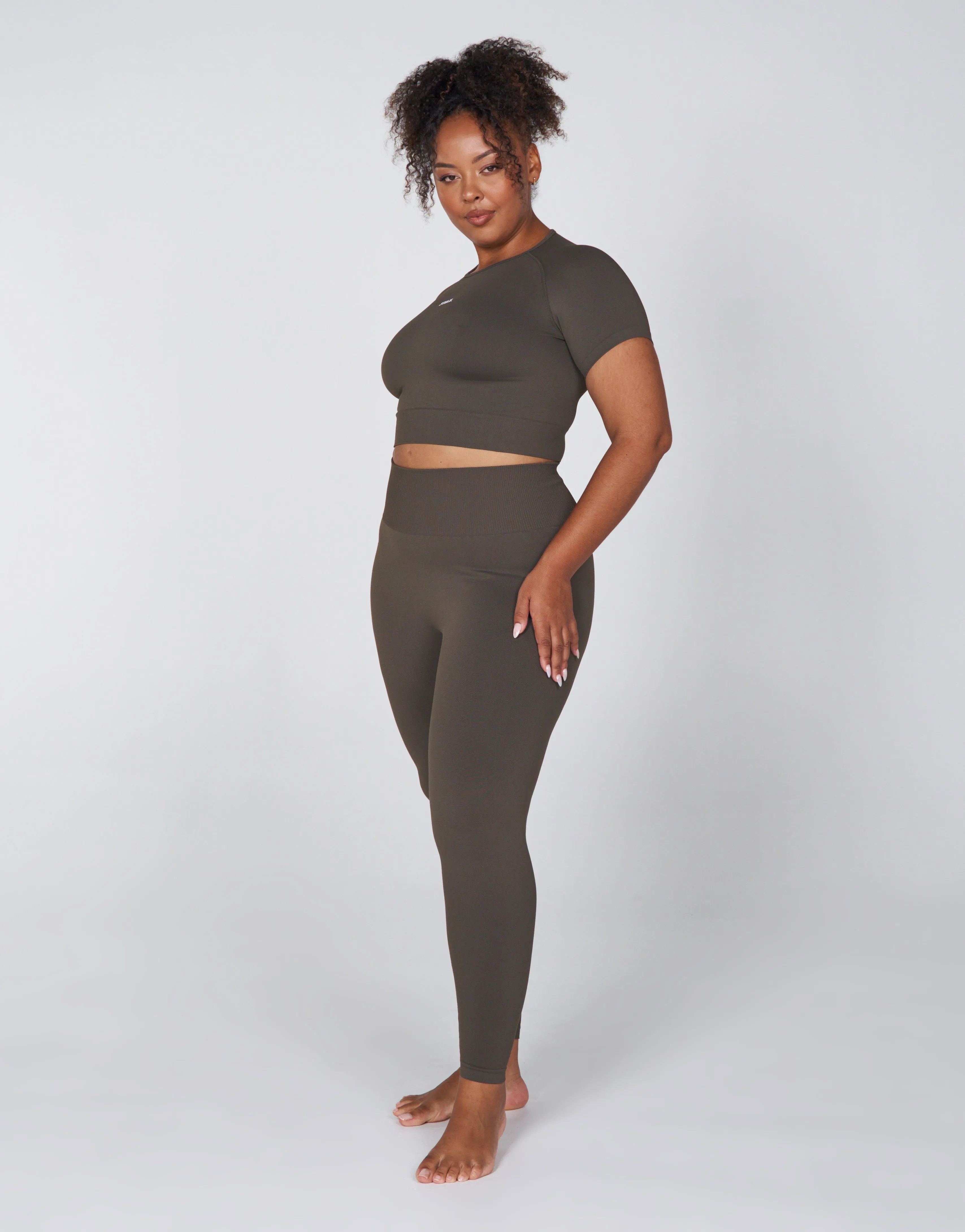 Premium Seamless Favourites Cropped Tee - Dovetail