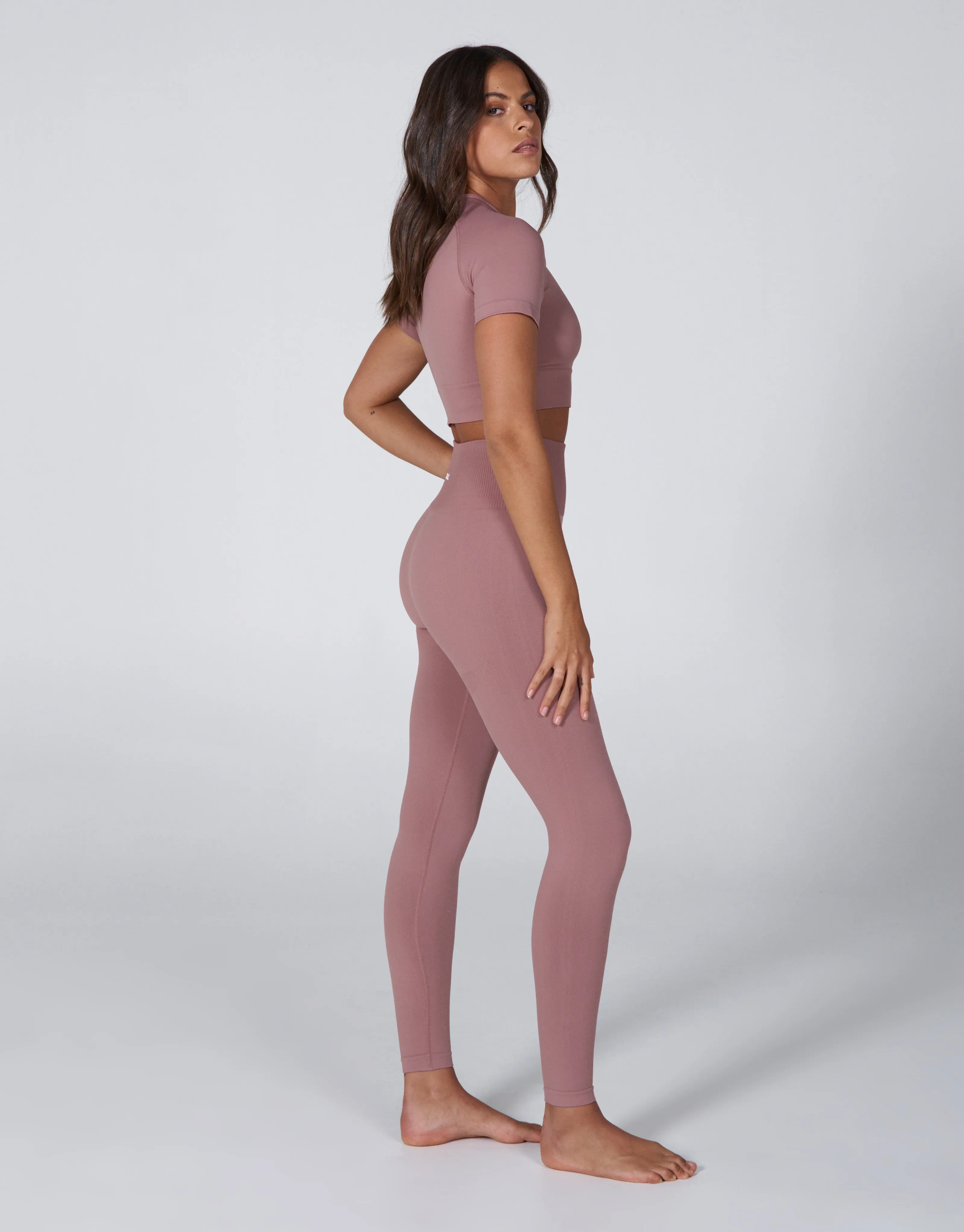 Premium Seamless Favourites Cropped Tee - Dusty Rose